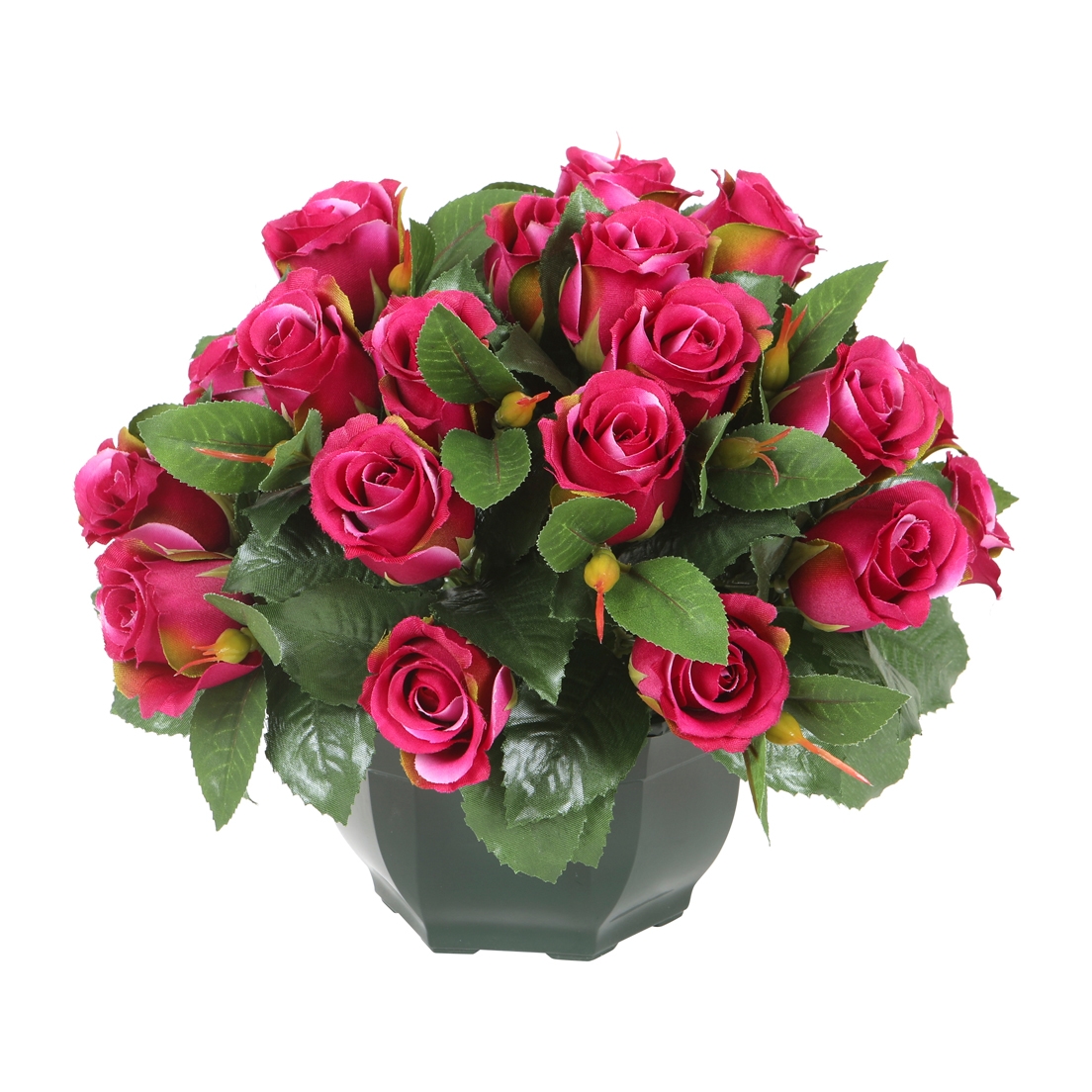 Coupe de roses1