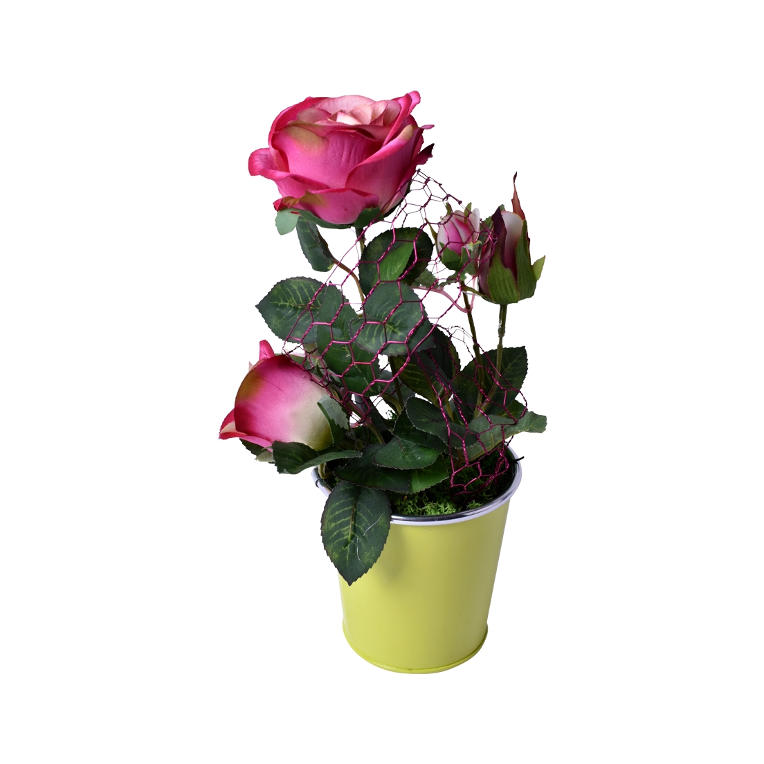 Coupe sur pot avec rosier1