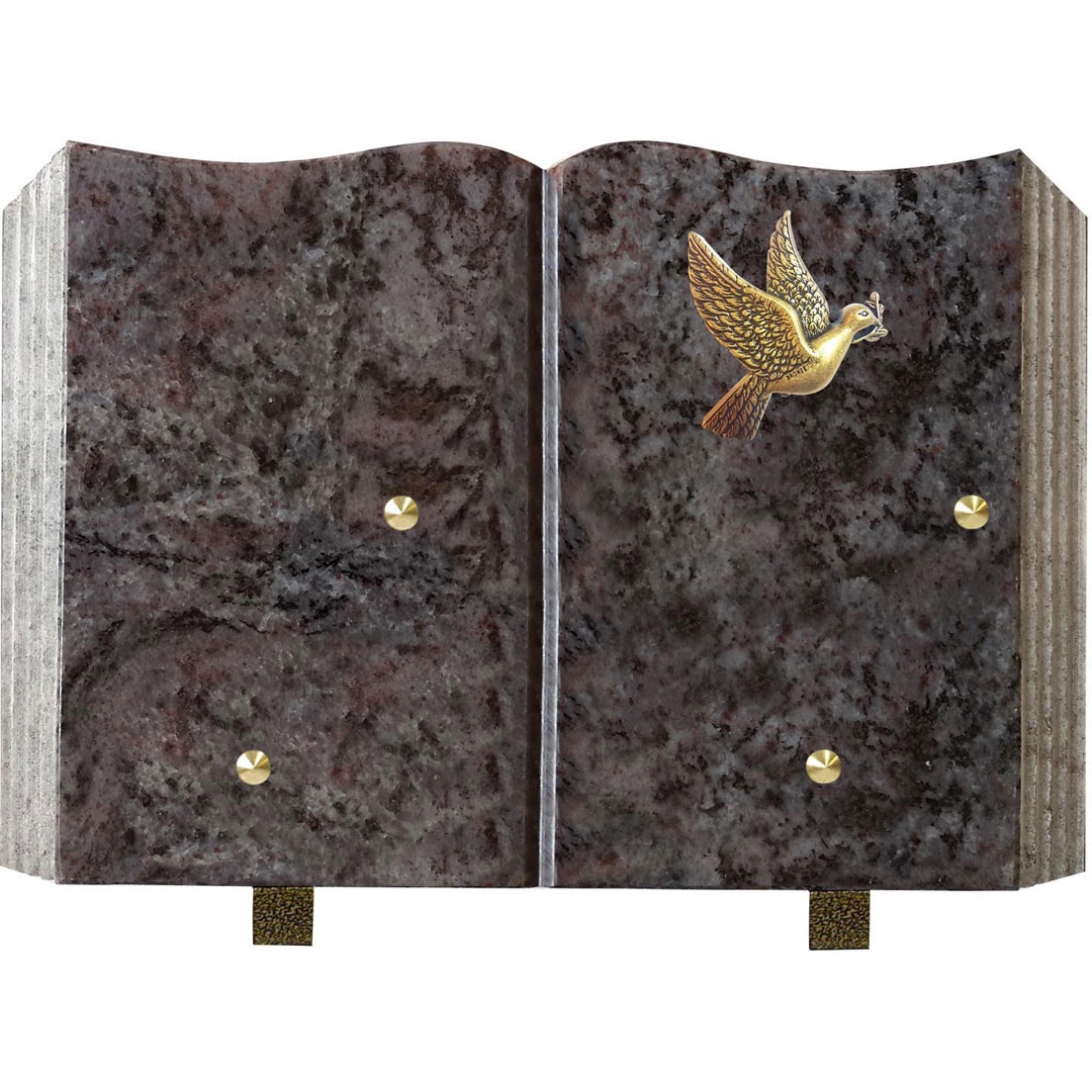 Plaque livre galbé - bronze - 2 porte inters1