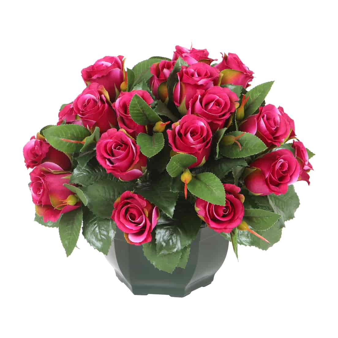 Coupe de roses1