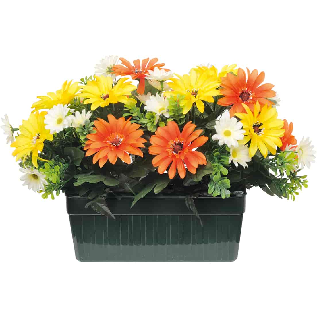 Jardinière de gerberas et paquerettes1