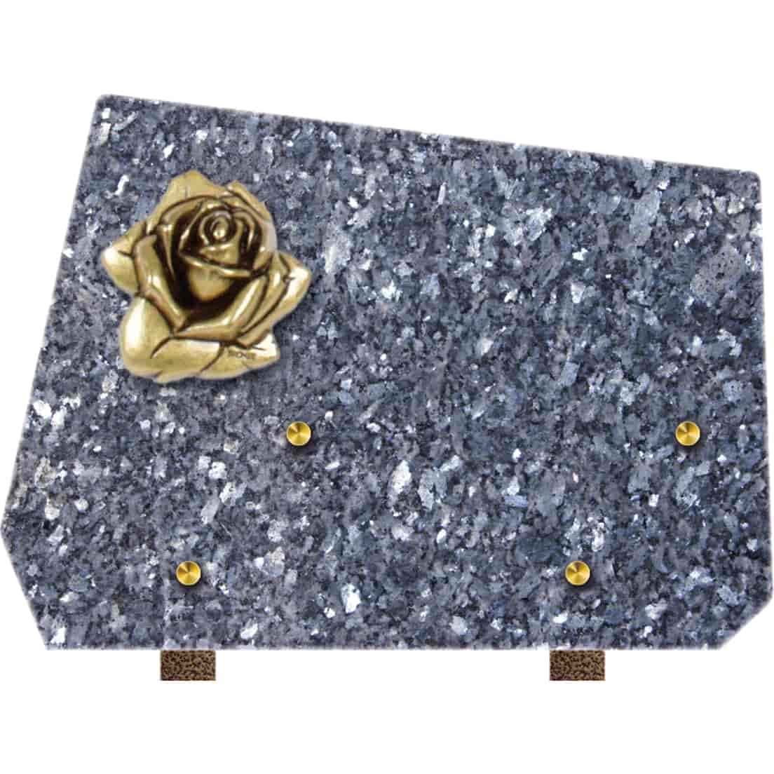Plaque forme polie - bronze - 2 porte inter1