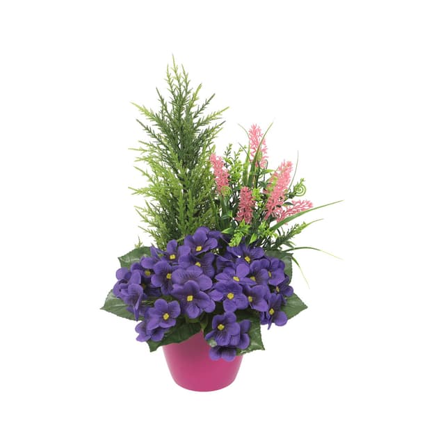 Coupe avec pot de violettes, juniperus et lavande