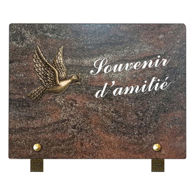 Plaque rectangle - texte sablé blanchi - bronze